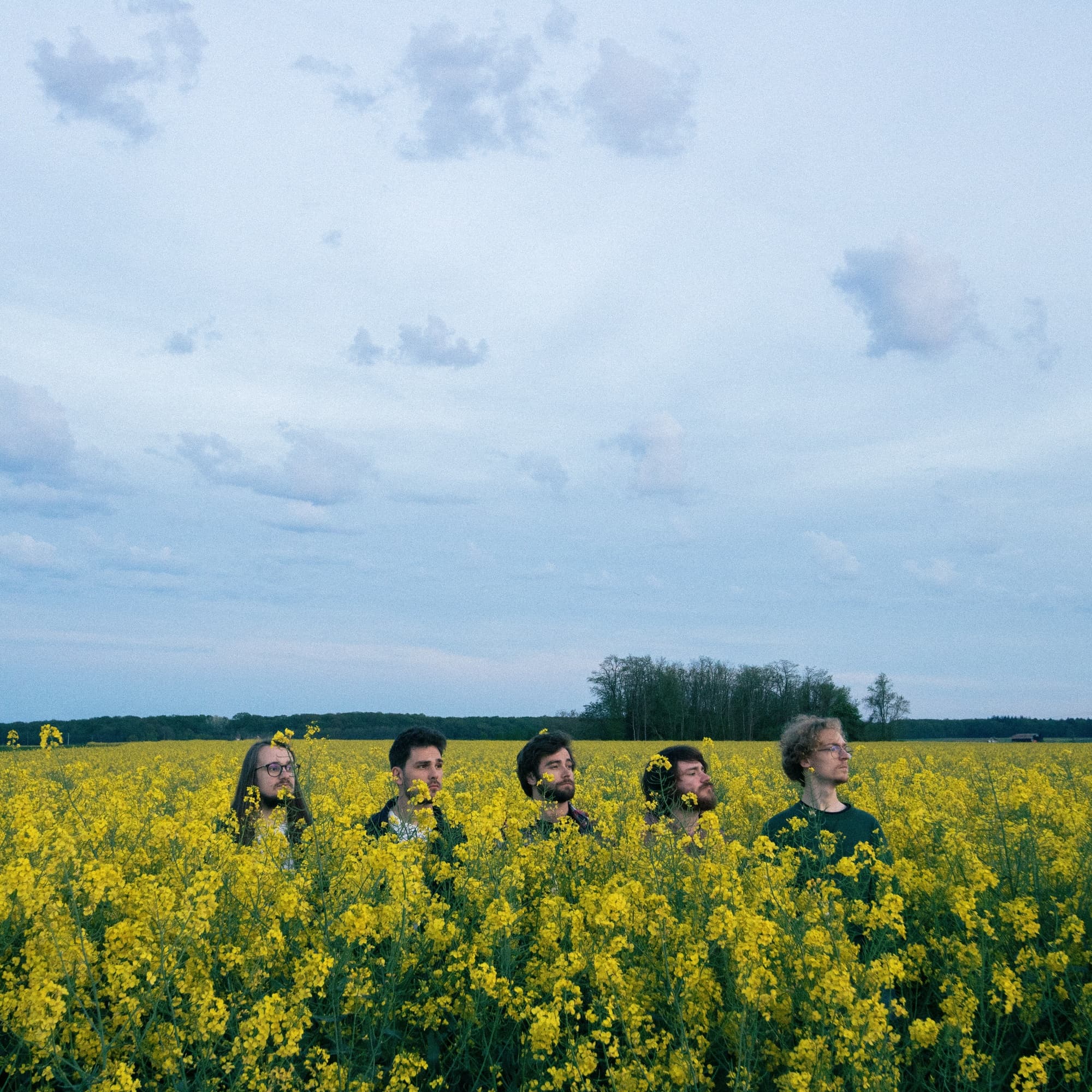 Group members in a field looking at something out of the frame